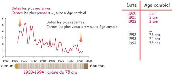 Calcul-courbe-age-reference.jpg