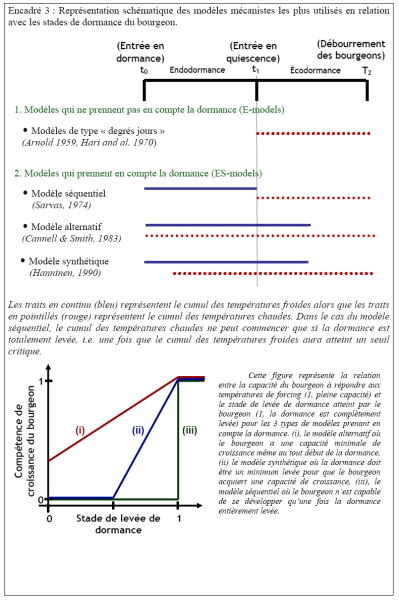 Modele-temps-phenologie.jpg