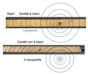 carottage-coeur-large.jpg