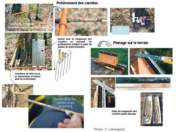 Etapes-carottage.jpg