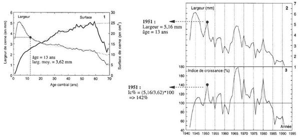 calcul-courbe-age.jpg