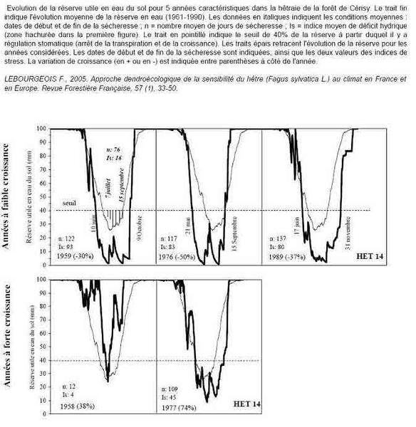 Approche-dendrochronologie-de-la-sensibilite.jpg