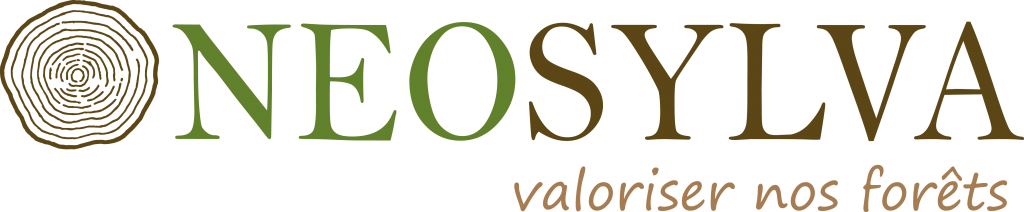 logo neosilva