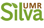 logo-UMR-Silva_medium.png