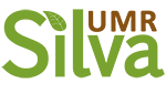 logo UMR Silva